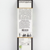 Смородина черная &laquo;Орловский вальс &raquo;, перспективные сорта, саженец, 1 шт., туба