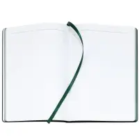 Ежедневник Bookmark, недатированный, черный с зеленым