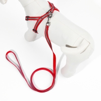 Комплект со светоотражающей лентой, ошейник 120 х 1 см, ОГ 26-40 см, красный