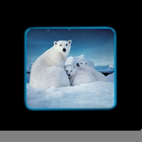 Проектор &laquo;Морской мир&raquo;, 3 слайда, 24 картинки