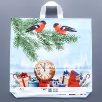 Пакет "Пернатые друзья", полиэтиленовый с петлевой ручкой, 42 х 44 см.