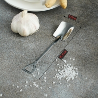 Ложка десертная из нержавеющей стали Magistro &laquo;Лопата&raquo;, длина 15,5 см, форма прямоугольная, цвет серебряный