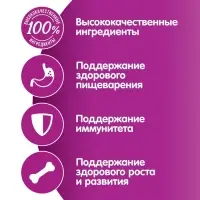 Влажный корм Whiskas для котят, рагу ягненок, 75 г