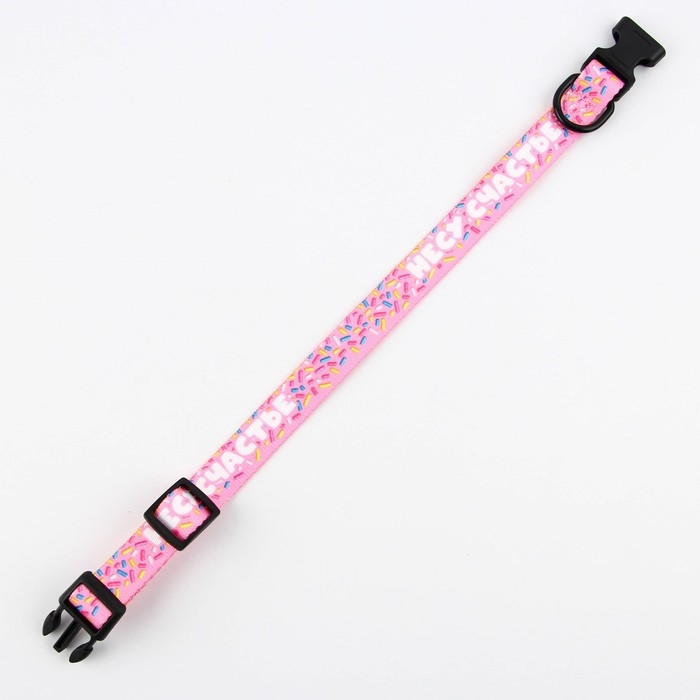 Ошейник &laquo;Несу счастье&raquo;, застёжка - фастекс, 2 см 25-40 см