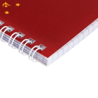 Тетрадь 48л кл на гребне "Проект Капланописьs", бл офсет 60-65г/м&sup2;, 4В МИКС