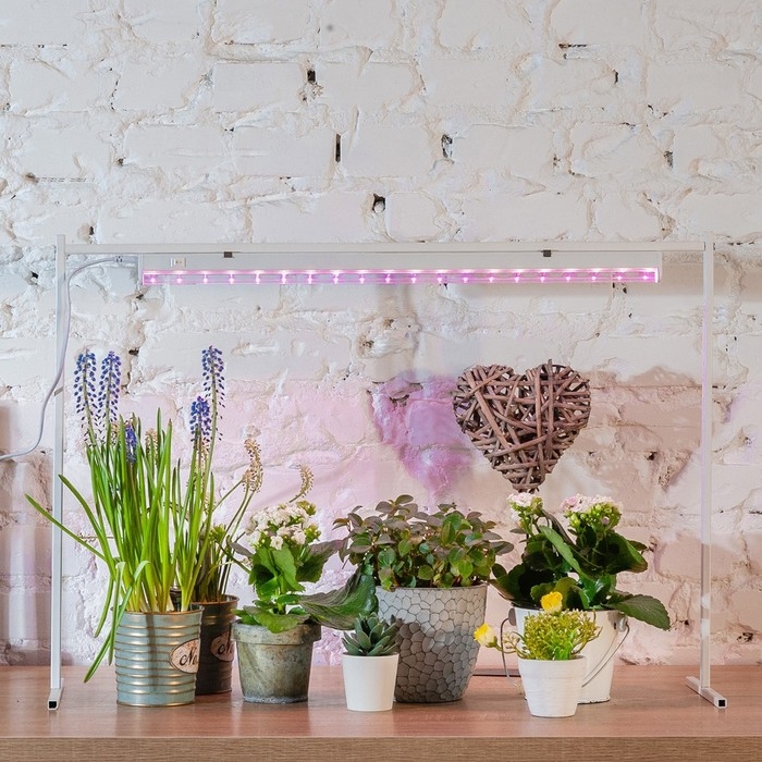 Фитосветильник светодиодный Uniel, 10 Вт, 572 мм, IP20, 220 В, полноспектральный, с выкл. Фитосветильник светодиодный Uniel, 10 Вт, 572 мм, IP20, 220 В, полноспектральный, с выкл.