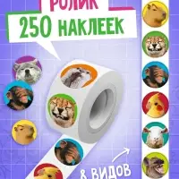 Книжное комплектное издание "Мемный набор" + вложение (ролик, 3д стикеры, значки, брелок)