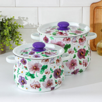 Набор кастрюль «Анютины глазки», 2 предмета: 4 л, 5.5 л, индукция Набор кастрюль «Анютины глазки», 2 предмета: 4 л, 5.5 л, индукция