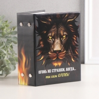 Фотоальбом на 96 фото 10х15 см "Лев и пламя" матовый с ламинацией 16,5х12х5,5 см