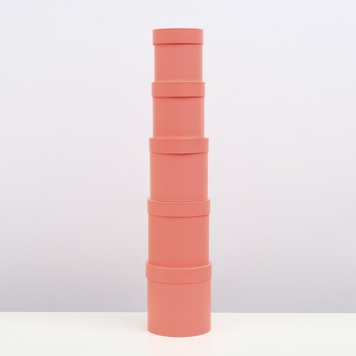 Набор шляпных коробок 5 в 1 "Коралл", 20 &times; 20 &times; 20‒13,5 &times; 13,5 &times; 13,5 см