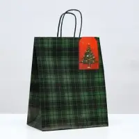 Пакет подарочный новогодний крафт &laquo;Зелёная клеточка&raquo; 22&times;12&times;27 см