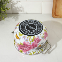 Кастрюля эмалированная &laquo;Пион&raquo;, 2.1 л, стеклянная крышка, индукция