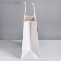 Пакет подарочный, упаковка, &laquo;Бесишь&raquo;, 22 х 22 х 11 см