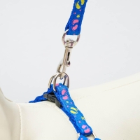 Шлейка с поводком &laquo;Цветные следы&raquo;, 23-35 см, ширина 1 см, поводок 120 см, синяя