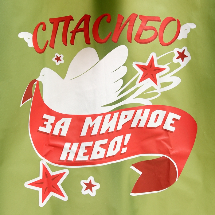 Карнавальный набор &laquo;9 мая!&raquo;, рост 104-152 см, дождевик, флажок