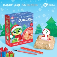 Набор для раскопок &laquo;В поисках змейки&raquo;, с инструментами