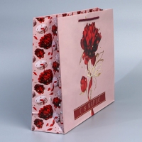 Пакет подарочный ламинированный горизонтальный, упаковка, «8 марта», L 28 х 38 х 9 см Пакет подарочный ламинированный горизонтальный, упаковка, «8 марта», L 28 х 38 х 9 см