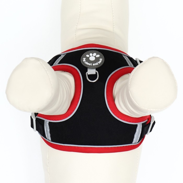 Комплект Sport+, S, поводок 120 x1 ,5 см, ОШ 39-41 см, ОГ 44-48 см, вес животного 7-13 кг, чёрный 9 Комплект Sport+, S, поводок 120 x1 ,5 см, ОШ 39-41 см, ОГ 44-48 см, вес животного 7-13 кг, чёрный 9