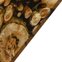 Картина "Брёвна" 60*100 см Картина "Брёвна" 60*100 см