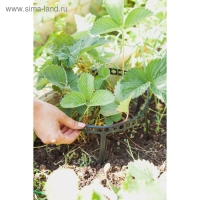 Кустодержатель для клубники, d = 11 см, пластик, набор 10 шт., цвет МИКС Кустодержатель для клубники, d = 11 см, пластик, набор 10 шт., цвет МИКС