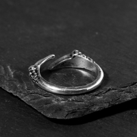 Кольцо «Перстень» когти, цвет чернёное серебро, безразмерное Кольцо «Перстень» когти, цвет чернёное серебро, безразмерное