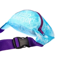 Сумка поясная детская, 25х6х13 см, Холодное сердце Сумка поясная детская, 25х6х13 см, Холодное сердце