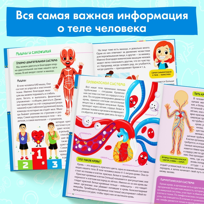 Энциклопедия в твёрдом переплёте «Тело человека», 48 стр. Энциклопедия в твёрдом переплёте «Тело человека», 48 стр.