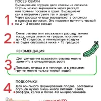 Семена Огурец &laquo;Феникс&raquo;, пчелоопыляемый, среднеспелый, 0.5 г