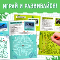 Набор книг &laquo;Лабиринты и факты: Пройди лабиринт и узнай факт!&raquo;, 4 книги по 24 стр., 6+