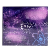 Головоломка металлическая &laquo;Загадки Эйнштейна&raquo;, набор 4 шт.