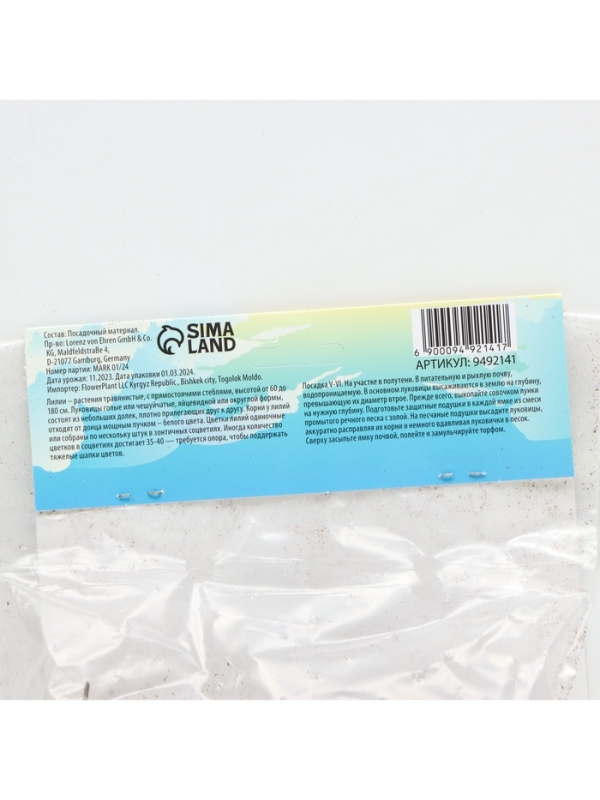 Лилия Азиатская Кашпо Trendy Santiago, луковица в пакете с перфорацией, р-р 12/14, 2 шт.