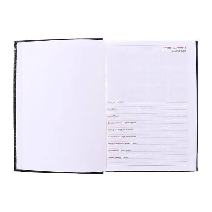 Ежедневник недатированный А5, 160 листов "Небраска", перфорация углов, чёрный