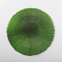 Салфетка сервировочная на стол &laquo;Тропики&raquo;, 34&times;34 см