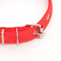Ошейник для животных