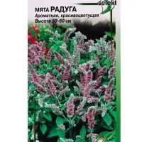 Семена Мята лонгифолия Радуга 250 шт