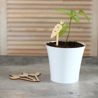 Таблички садовые для маркировки, 12 см, набор 8 шт., дерево, &laquo;Морковь&raquo;, Greengo