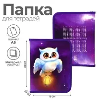 Папка для тетрадей, А5, пластиковая, 18&times;23&times;2.5 см &laquo;Совушка&raquo;