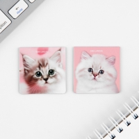 Набор блокнот А6, 32 листа, наклейки, магнитные закладки &laquo;Милый котенок&raquo;
