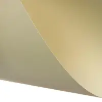 Картон цветной тонированный А3, 200 г/м&sup2;, слоновая кость