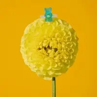 Кольцо &laquo;Мармеладный мишка&raquo;, цвет голубой, размер 17