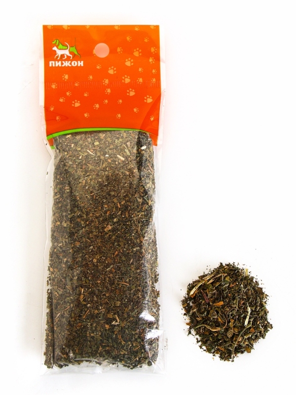 Кошачья мята "Пижон", 20 г