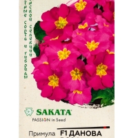 Семена Примула &laquo;Данова Розовая&raquo;, многолетник, F1, 5 шт.