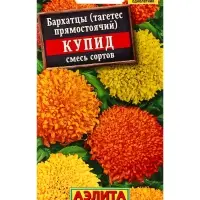 Семена цветов Бархатцы Купид хризантемовидные, смесь сортов , Ц/П,0,1 г