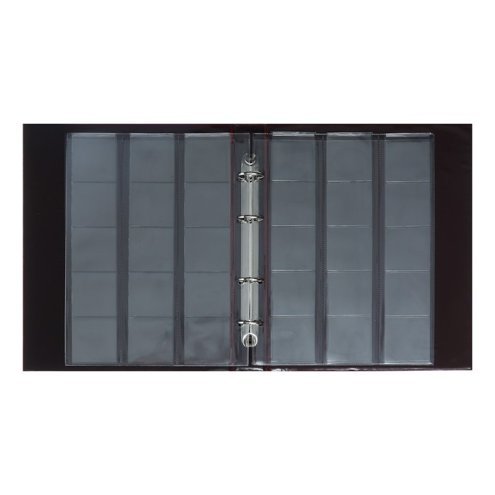 Альбом для монет Альбом для монет "Коллекция", 230 х 270 мм, Optima, 10 скользящих листов, коричневый