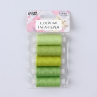 Набор ниток «Лаймовый пирог», 40/2, 200 м, 5 шт, цвет разноцветный Набор ниток «Лаймовый пирог», 40/2, 200 м, 5 шт, цвет разноцветный