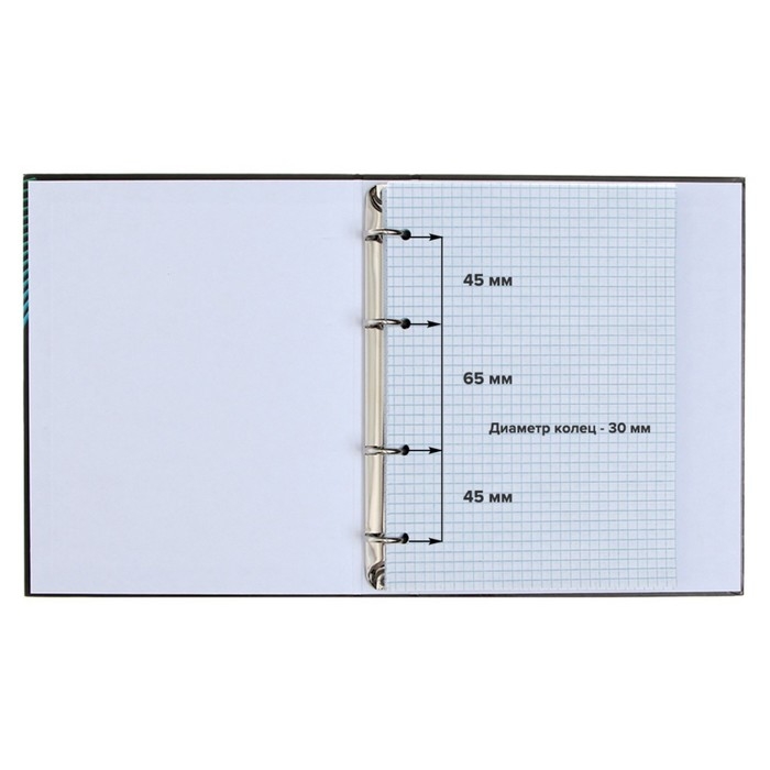 Тетрадь на кольцах A5 160 листов в клетку Calligrata "MonoTone", обложка 7БЦ, без вырубки под кольца, блок офсет