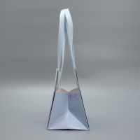 Переноски для цветов &laquo;Киса&raquo;, 14 &times; 10 &times; 9 см