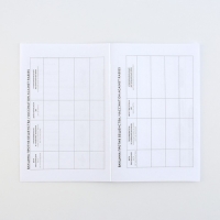 Ветеринарный паспорт международный &laquo;Рыжий кот&raquo;