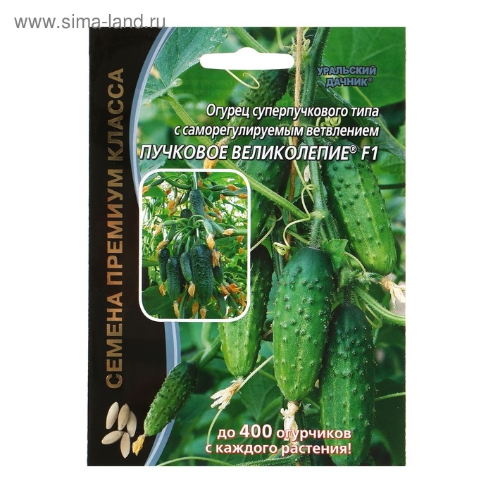 Семена Огурец "Пучковое великолепие" F1 скороспелый, пучковый, партенокарпический, 5 шт