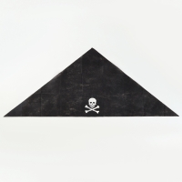 Бандана «Пират», детская, 115х40 см Бандана «Пират», детская, 115х40 см